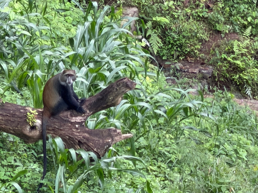 Furahia Tanzania Safari & Trekking Ltd-阿鲁沙必去景点