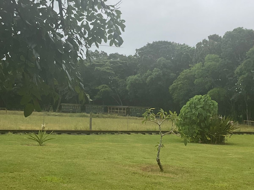 Kauai Plantation Railway-利胡埃必去景点