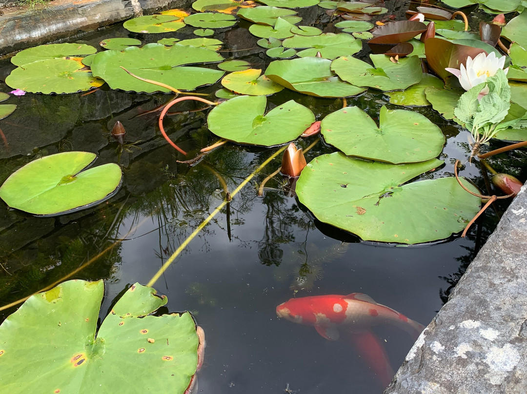 Llwyngarreg Garden-Llanfallteg必去景点