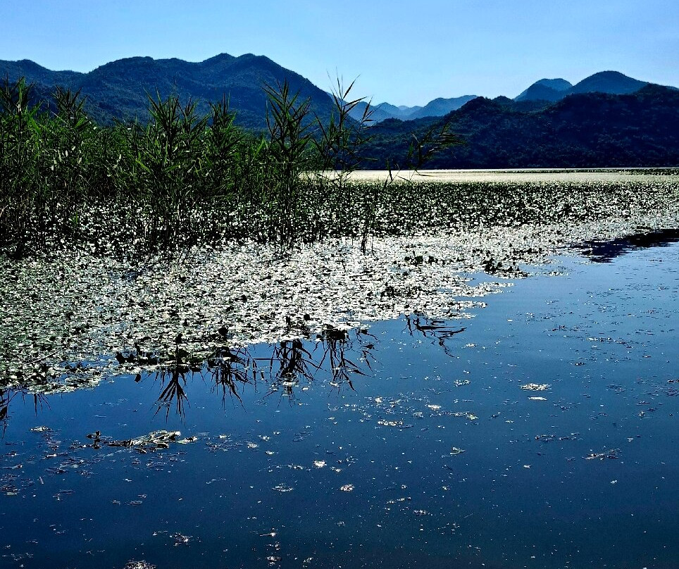 Lake Skadar-黑山共和国必去景点