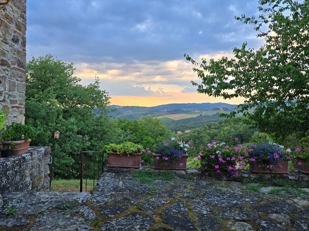 Monte Bernardi-Panzano in Chianti必去景点