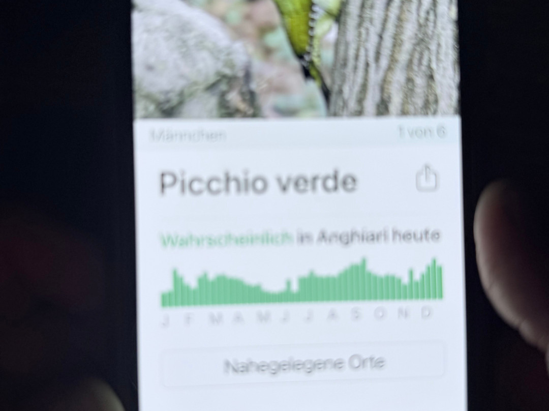 Birding In Italy-Capolona必去景点
