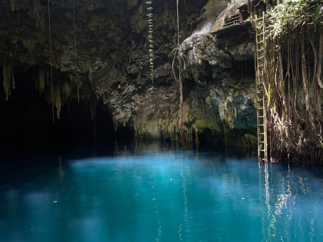 Experiencia Privada en Cenote Exclusivo-巴利亚多利德必去景点