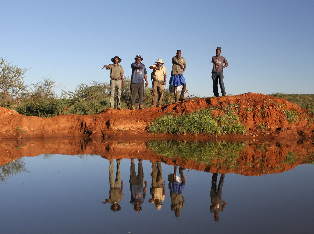 Kunene Elephant Walk
