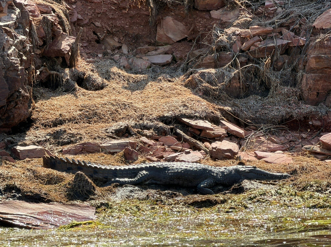 Lake Argyle Tours "Kimberley Durack"-库努纳拉必去景点