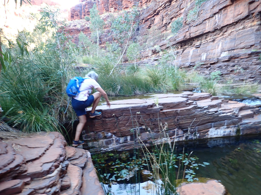 Fortescue Falls-Karijini National Park必去景点