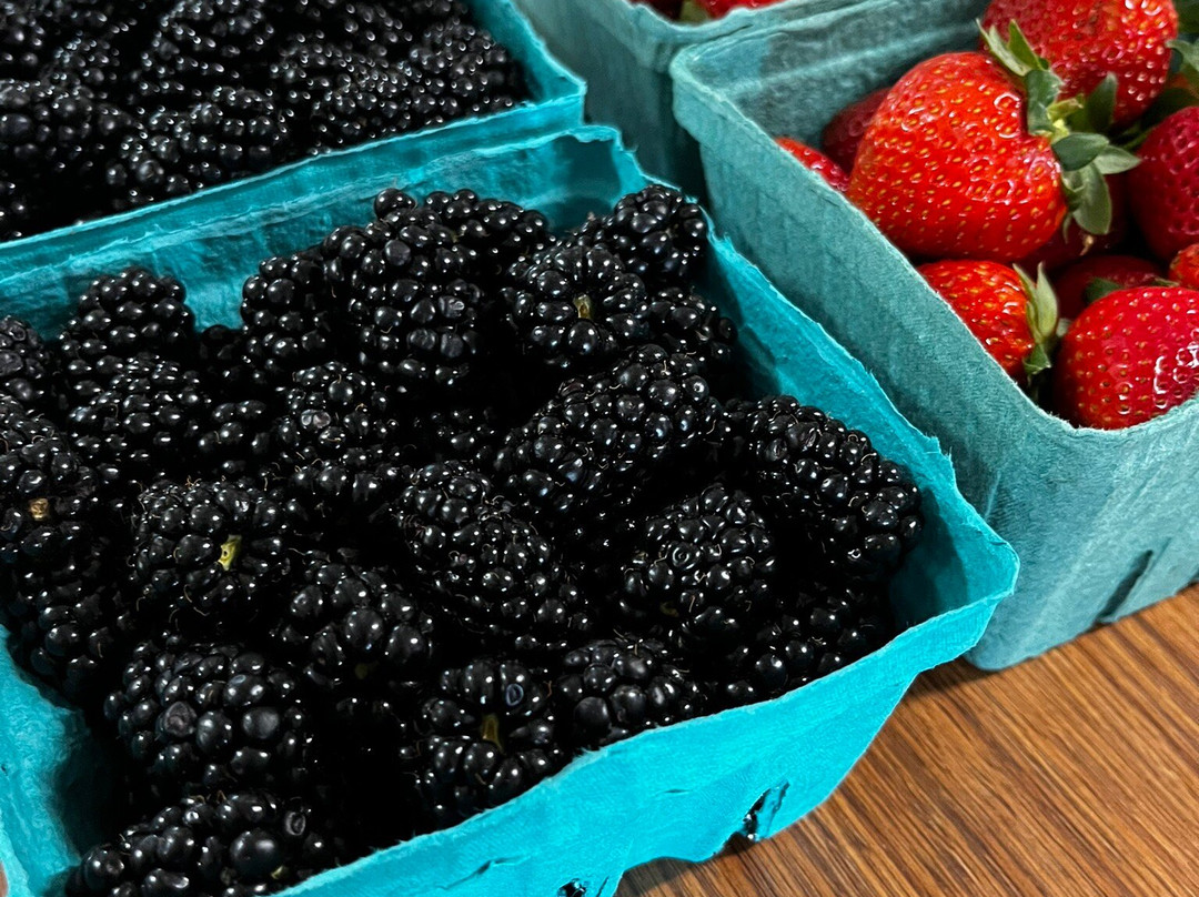 Lambert's Fresh Produce-Elizabethton必去景点
