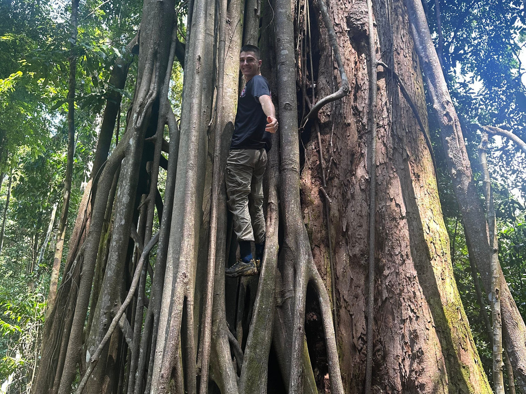Bukit Lawang Adventure-武吉拉旺必去景点