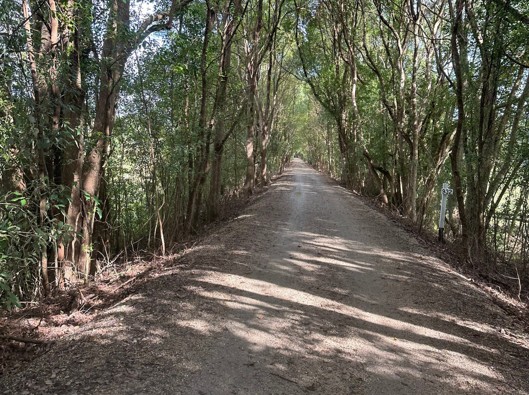 Northern Rivers Rail Trail-Murwillumbah必去景点