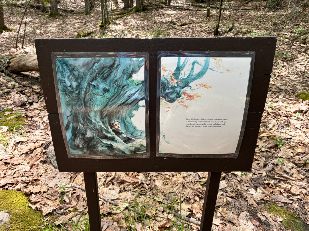Mount Agamenticus-约克必去景点