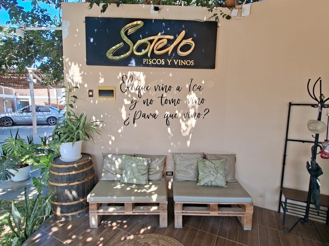 Bodega Y Viñedo Sotelo-伊卡必去景点