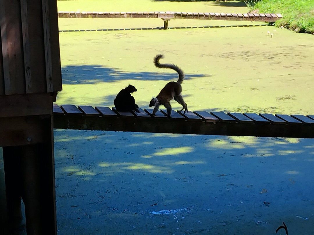 ZooParc de Trégomeur-Tregomeur必去景点