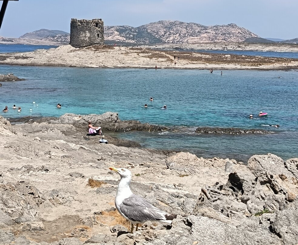 Spiaggia della Pelosetta-斯廷蒂诺必去景点