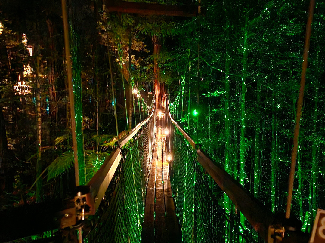 Redwoods Treewalk-罗托鲁瓦必去景点