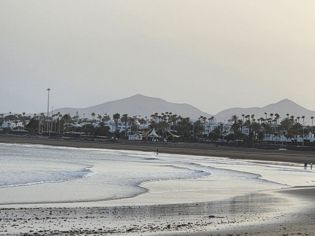 Playa de los Pocillos-卡门港必去景点