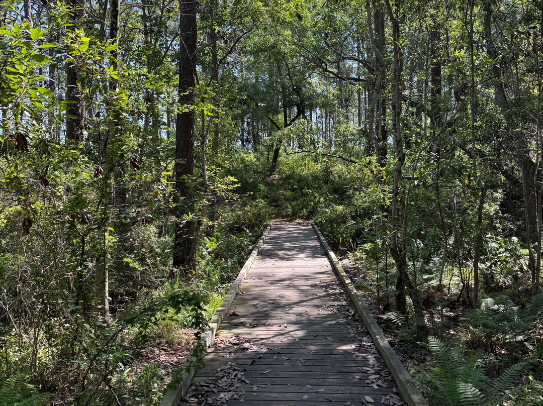 Fontainebleau Nature Trail-Ocean Springs必去景点