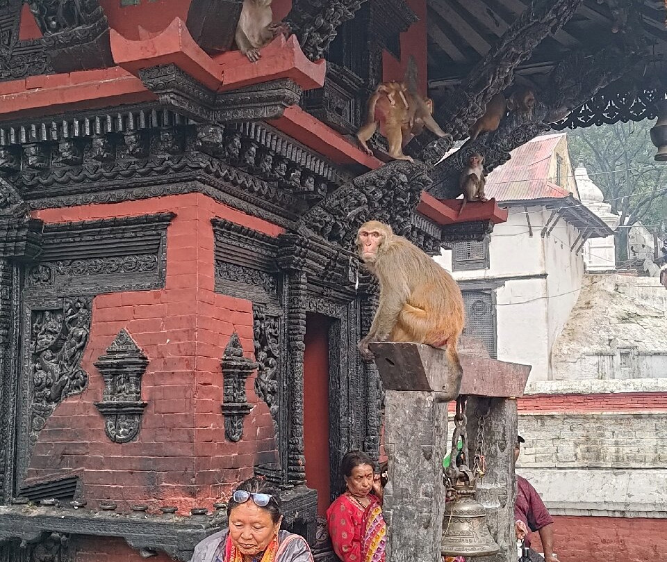 Bhaktapur Tour Guide-巴克塔布必去景点