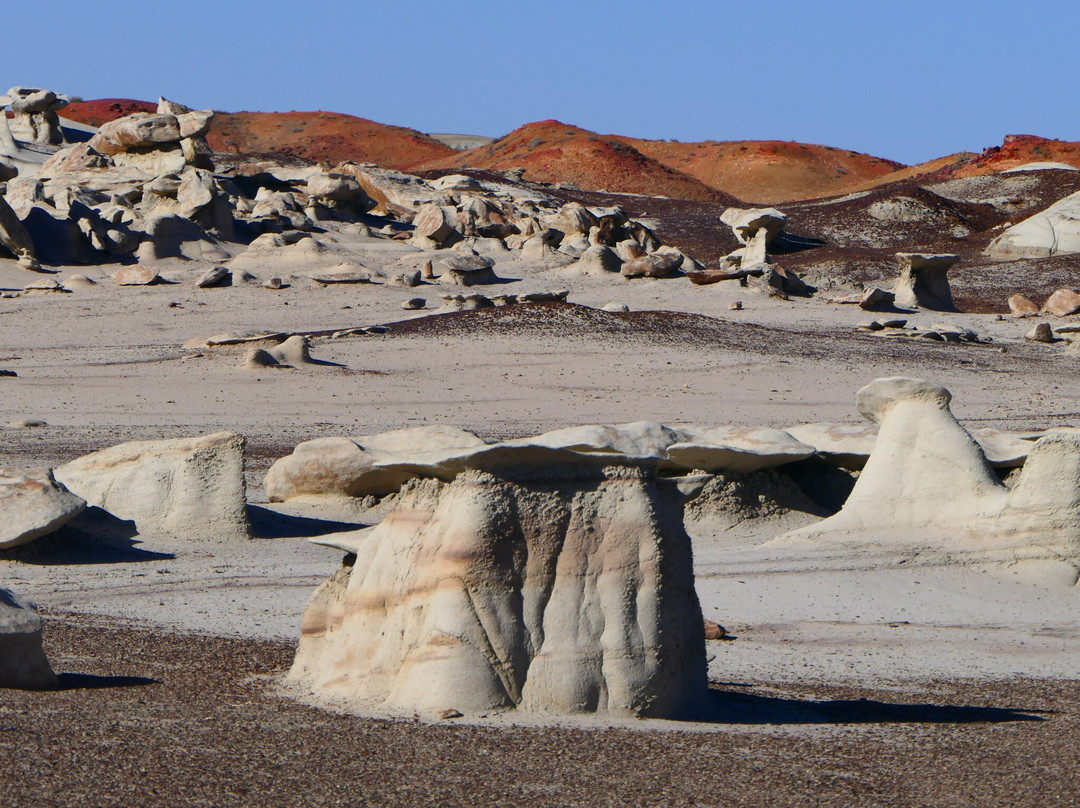 Navajo Tours USA-Nageezi必去景点
