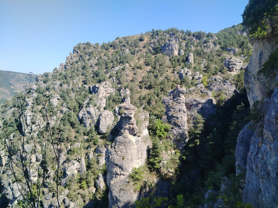 Nature et Sensations