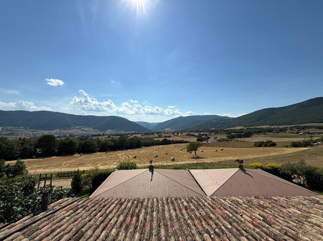 Il Casale degli Amici