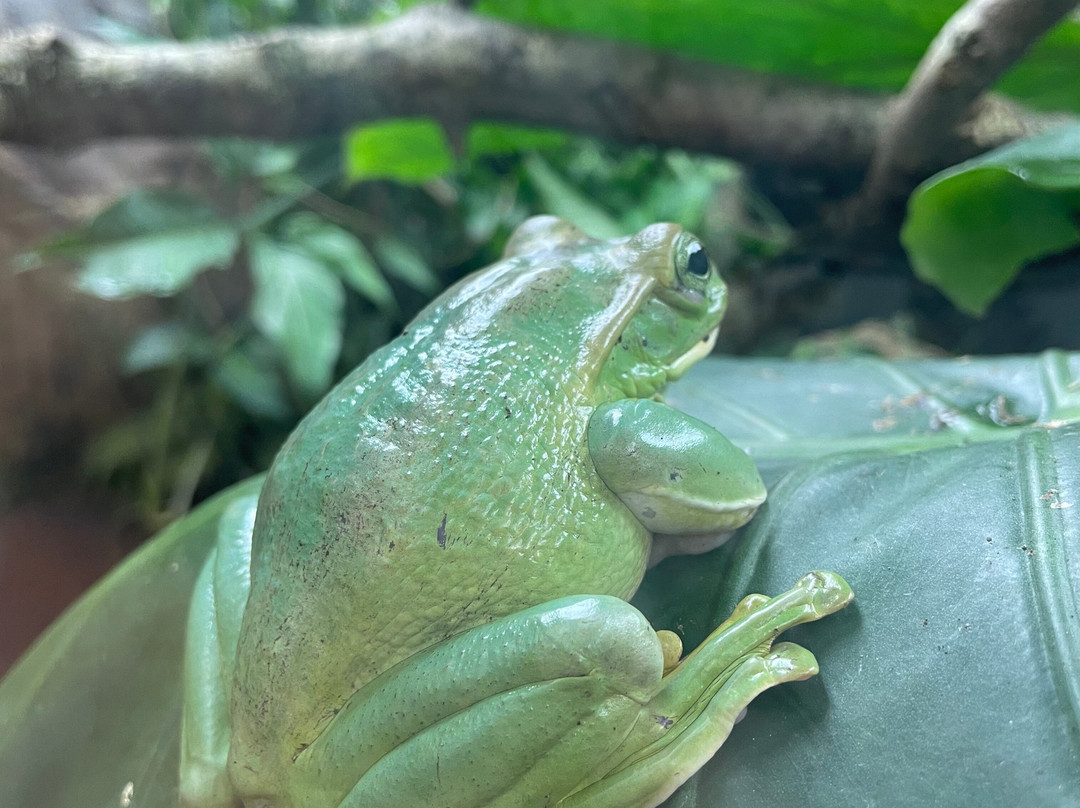 Paignton Zoo Environmental Park-佩恩顿必去景点
