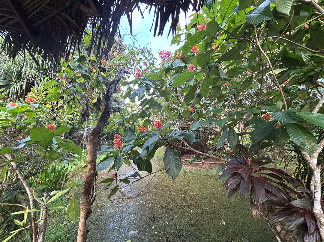 海蚀马尔水小屋酒店