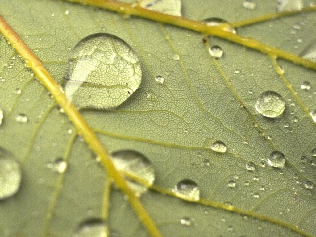 荣记粉面 (糖街)