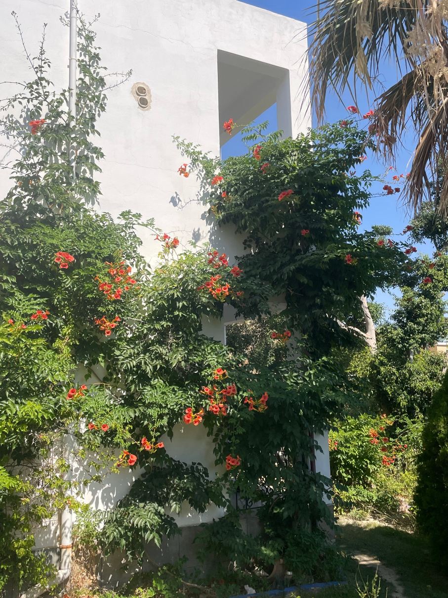 Korfes Apartments-旅行者