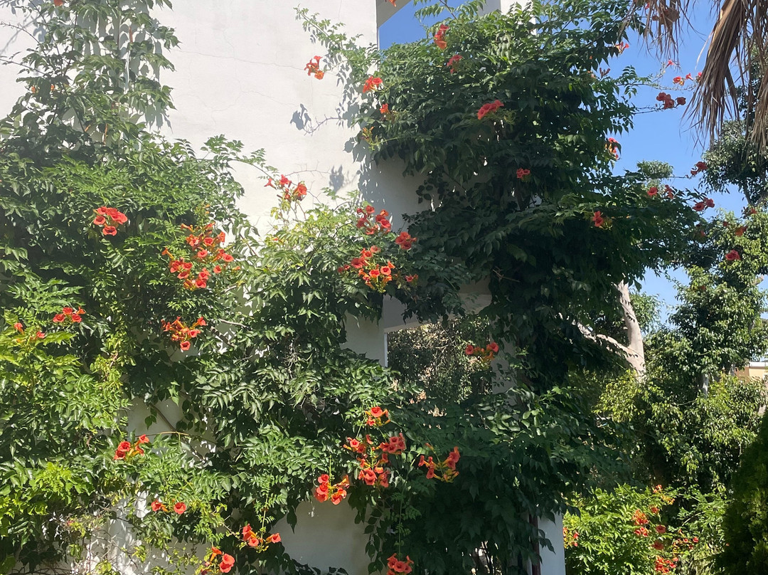 Korfes Apartments主图