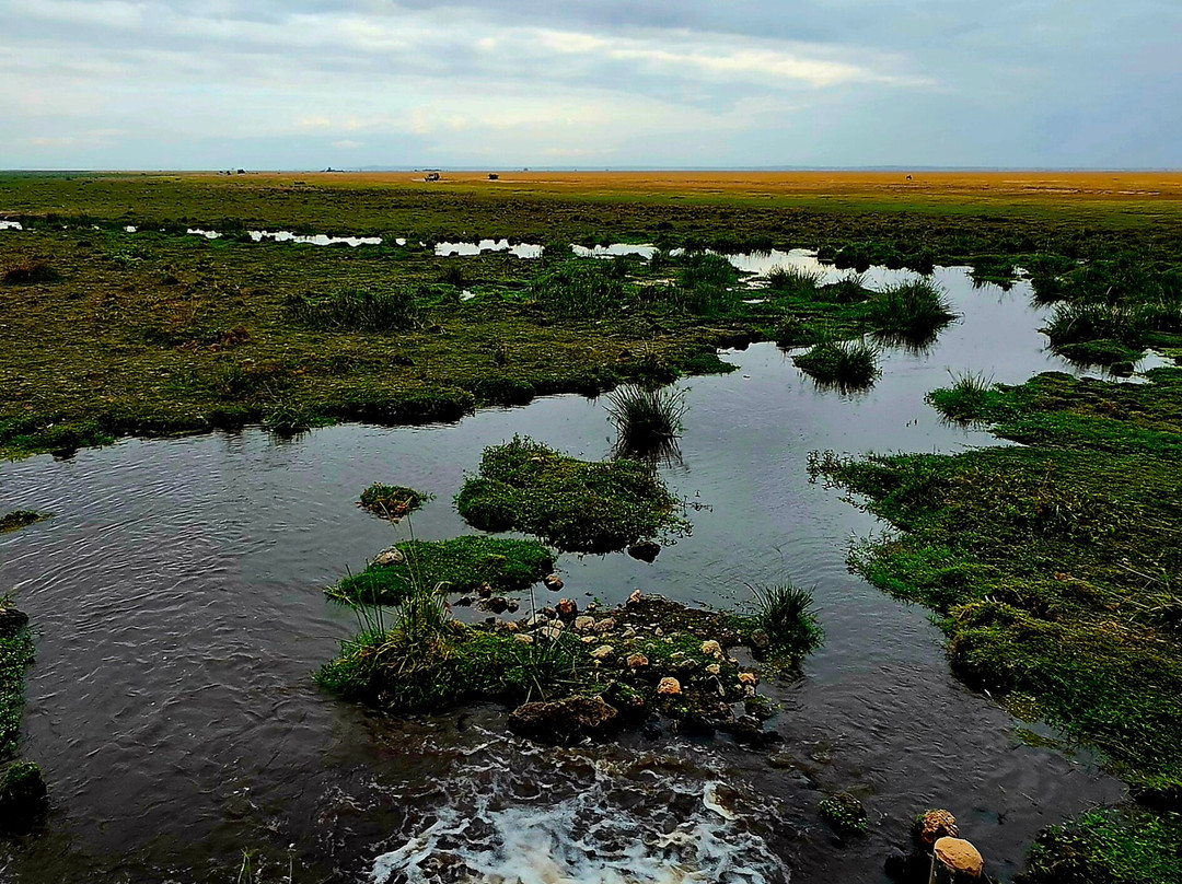 Amboseli National Park-Amboseli Eco-system必去景点