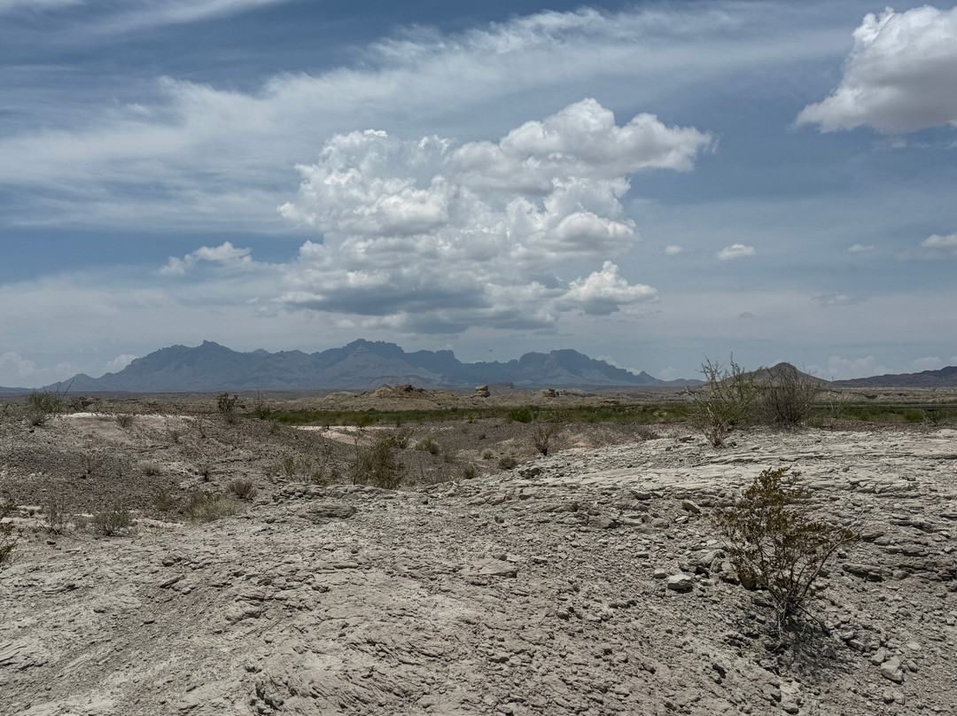 Big Bend National Park - Fossil Bone Exhibit-大弯国家公园必去景点