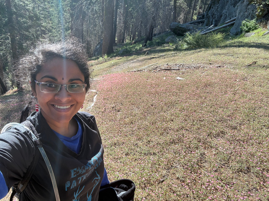 Beetle Rock In Sequoia National Park-Three Rivers必去景点