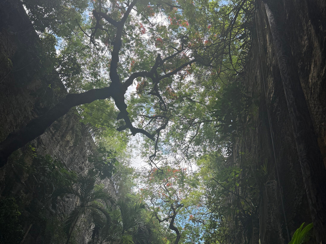 Adventures Caribbean-拿骚必去景点