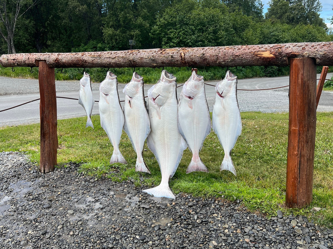 Discover Alaskan Adventures-尼尔奇克必去景点