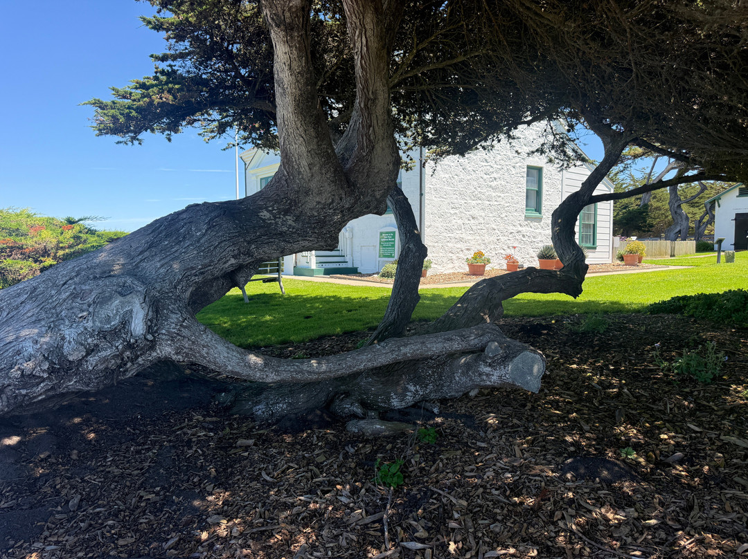 Point Pinos Lighthouse-太平洋丛林镇必去景点