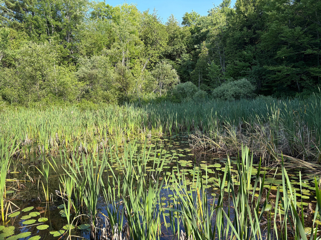 Marais de la Riviere aux Cerises-梅戈格必去景点