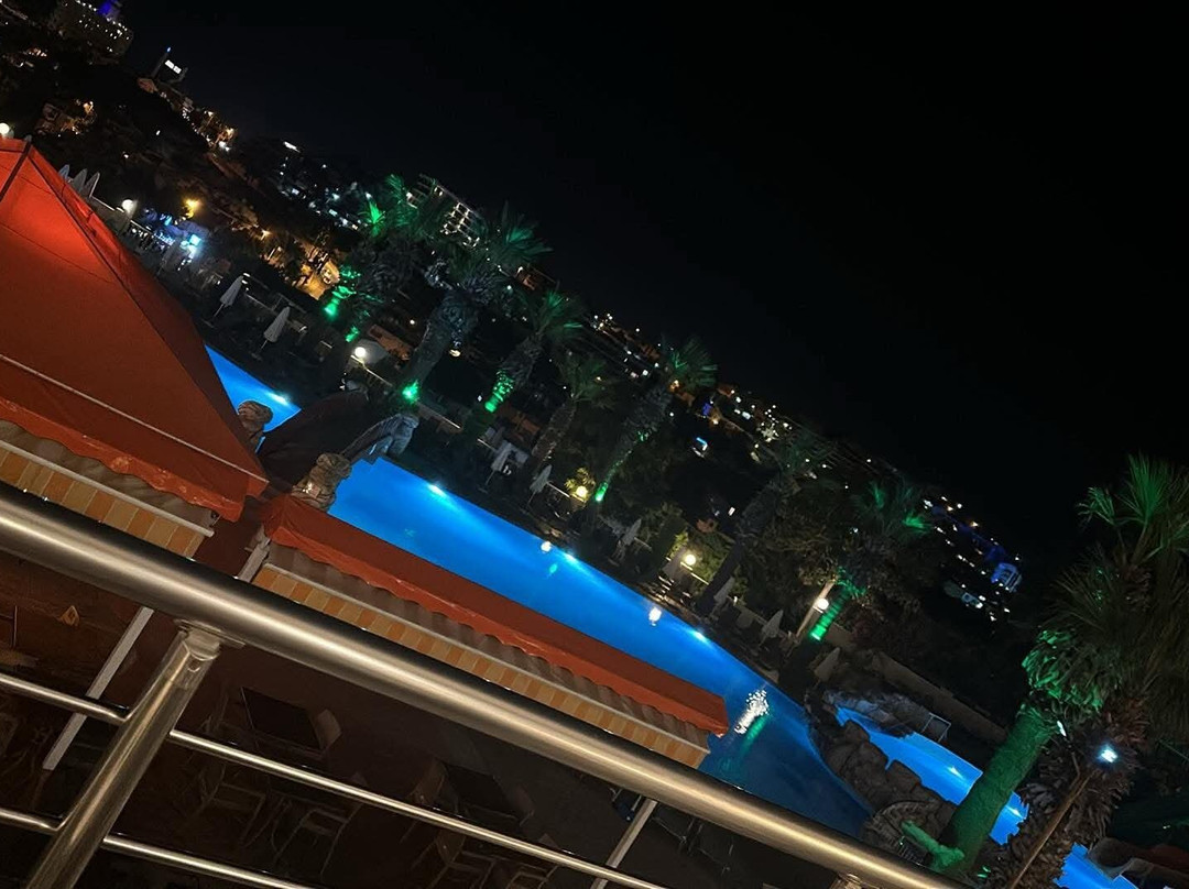 棕榈酒店主图