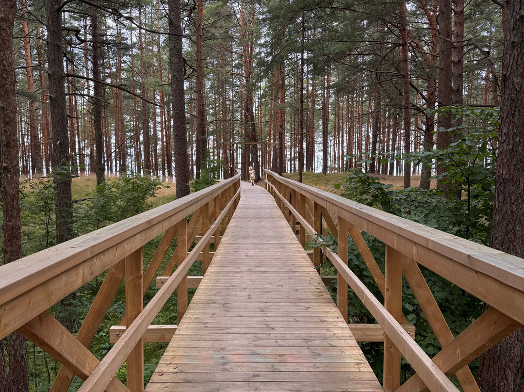 Saulkrasti Beach-Saulkrasti必去景点