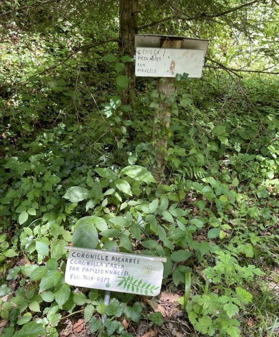 Sentier botanique de Vermes-Vermes必去景点