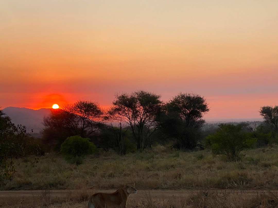 Sereland Africa Safaris-Sakina必去景点
