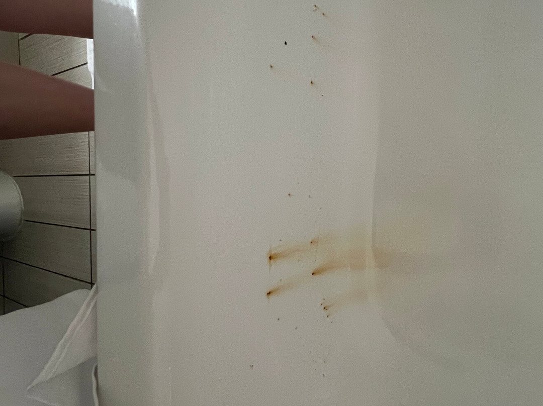 圣奥古斯丁海滩万怡酒店主图