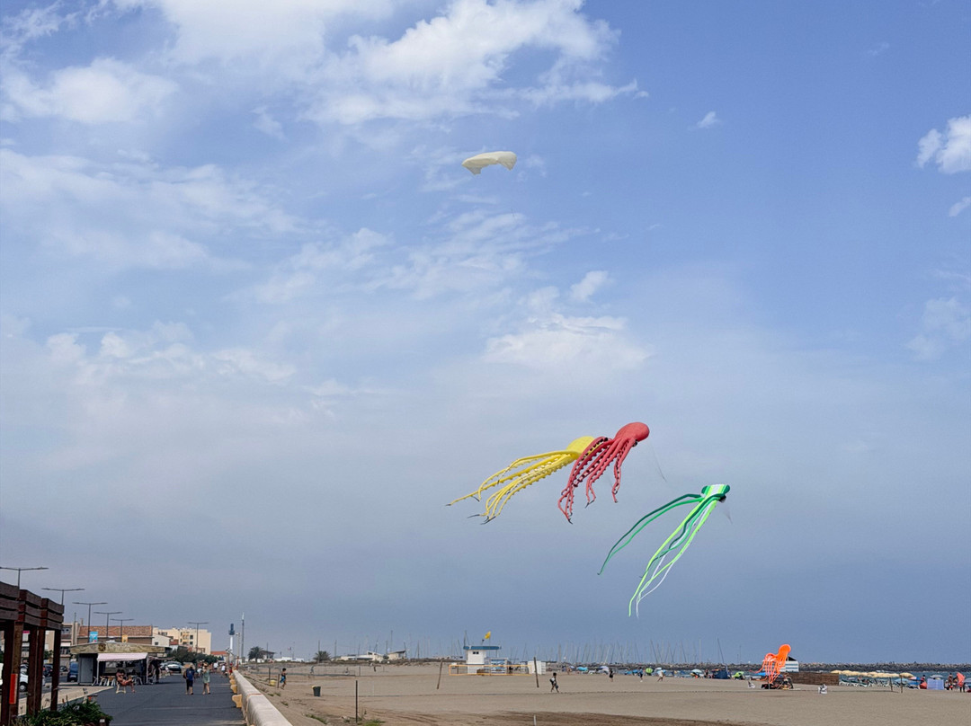 Plage Des Terrasses De La Mer.-Narbonne-Plage必去景点