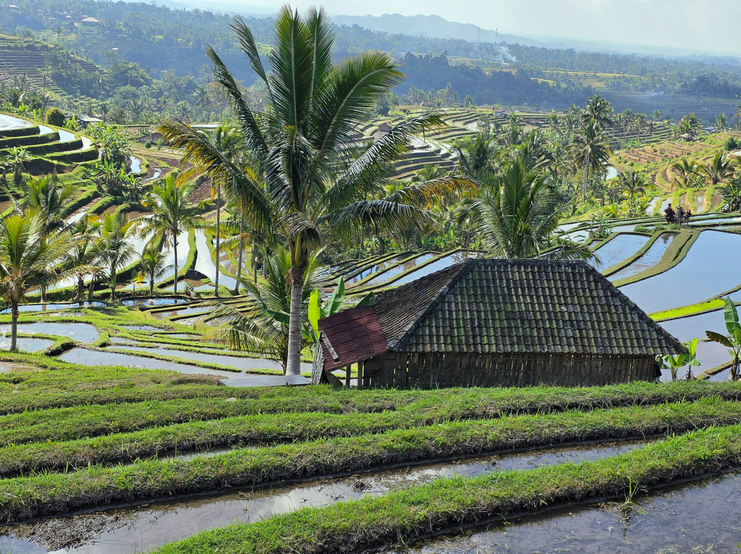 Bali Fantastic Tour-登巴萨必去景点