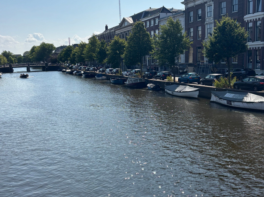 Zaterdagmarkt Haarlem-哈勒姆必去景点