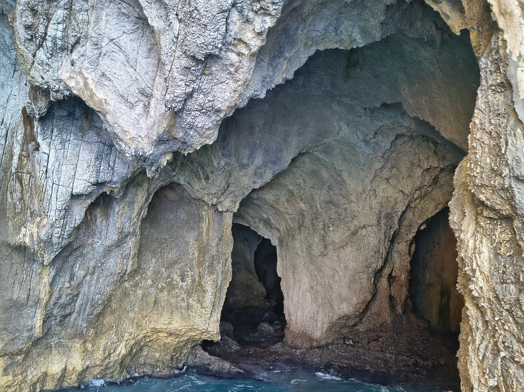 Noleggio Barche Blue Marine-Marina di Casal Velino必去景点