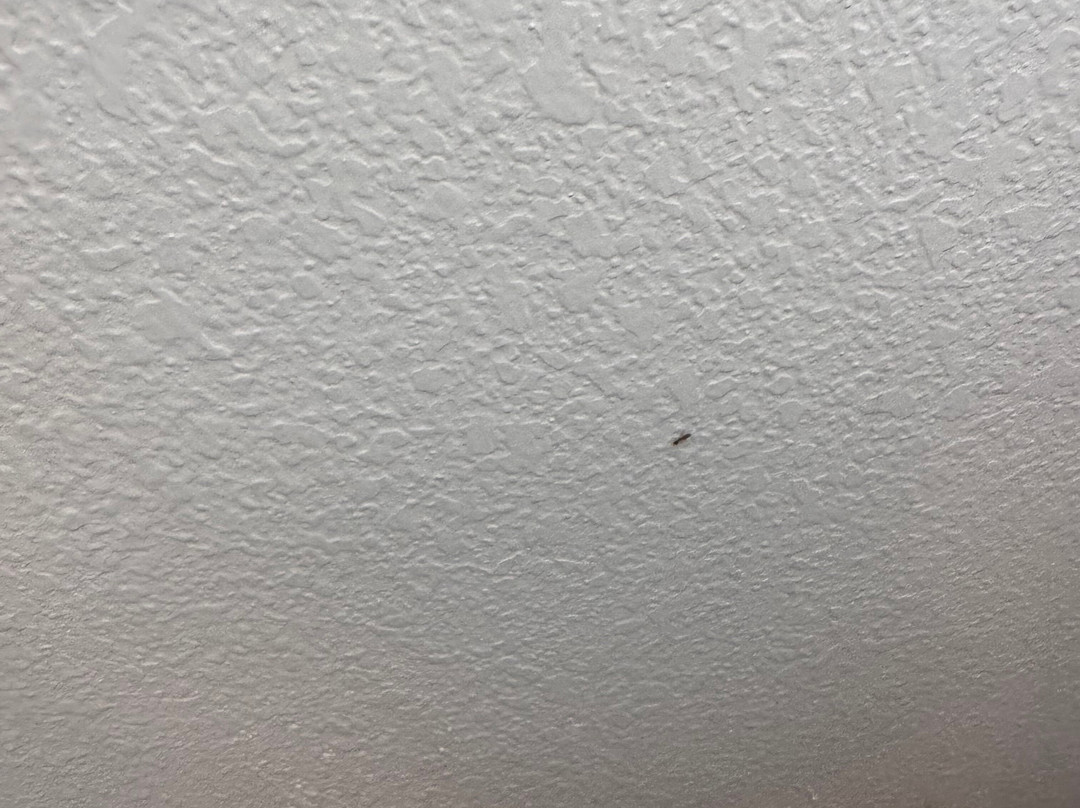 奥兰多弗拉明戈路口Homewood Suites by Hilton主图