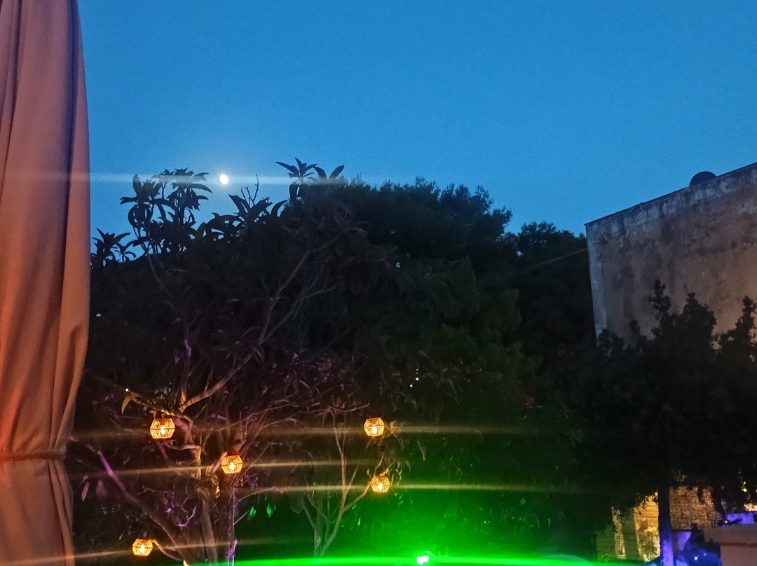 La Casa Rosa