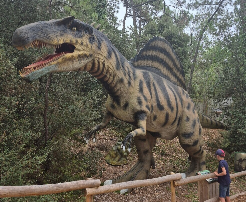 Dino's Park-Saint-Hilaire-de-Riez必去景点