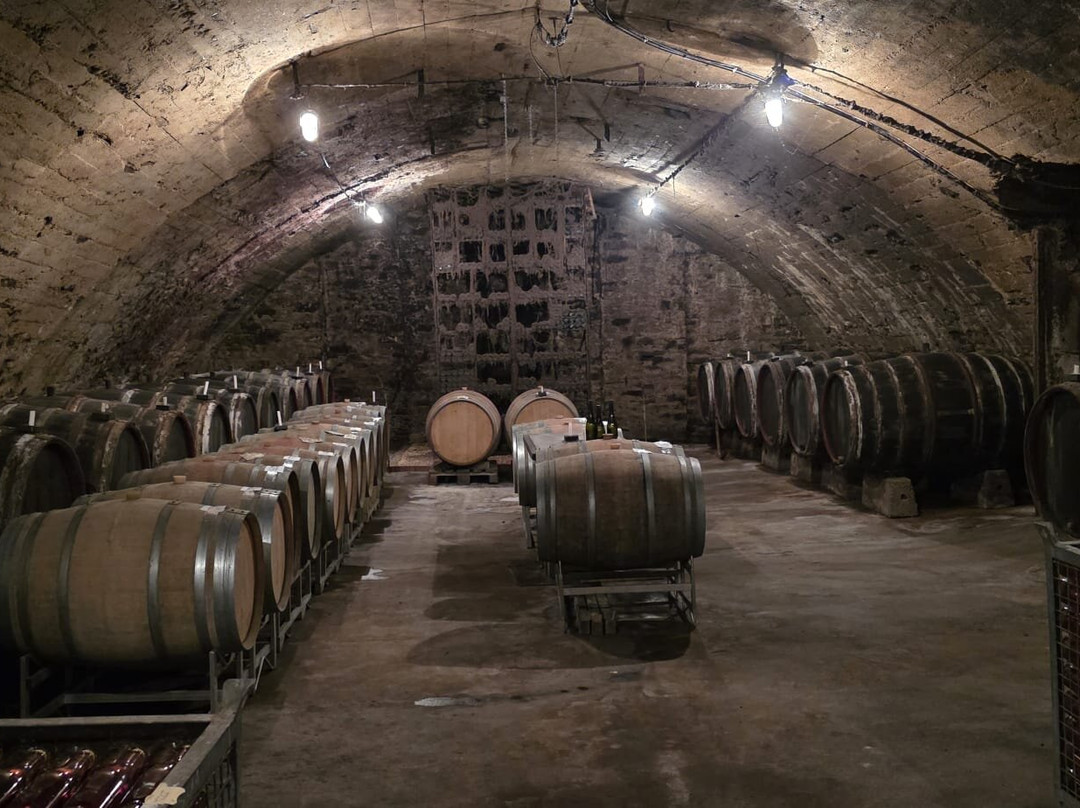 Weingut Richard Richter-Winningen必去景点