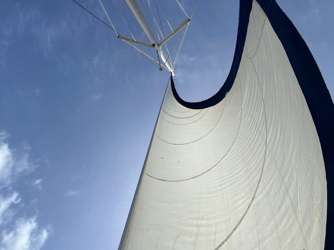 Catch The Cat - Private Sailing Charters-Jolly Harbour必去景点